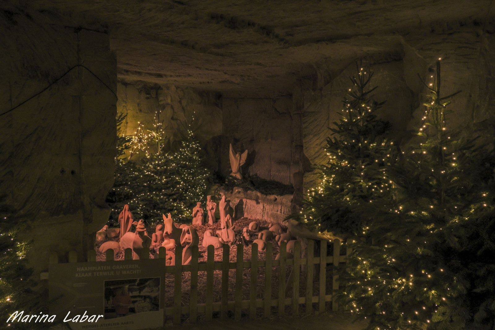 Voyages d'un jour - photo 23