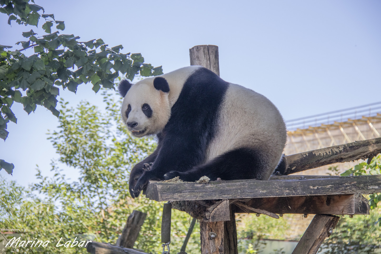 Voyages d'un jour - photo 19