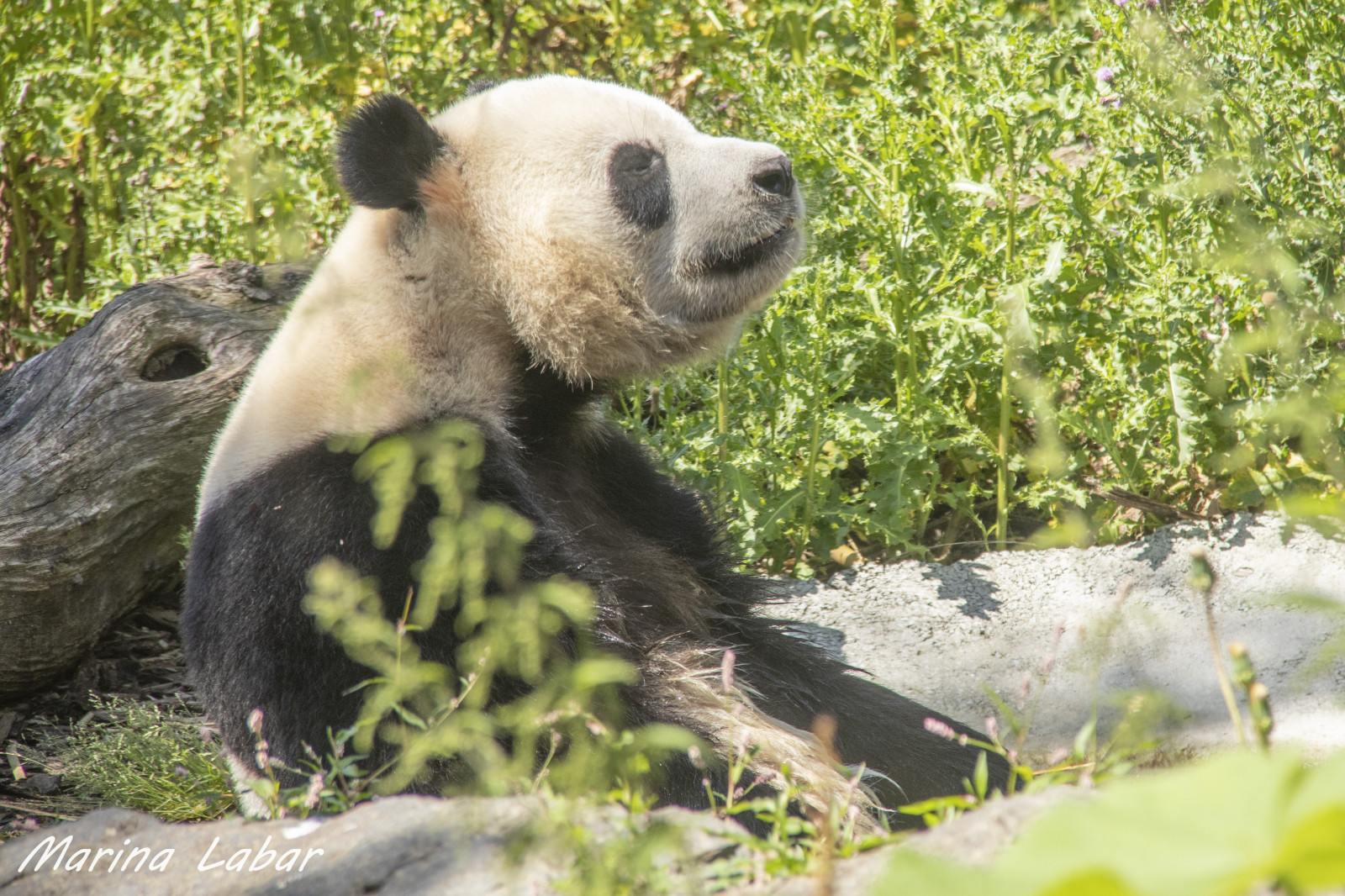 Voyages d'un jour - photo 24
