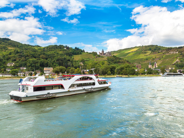 Croisière sur le Rhin Romantique - photo 20