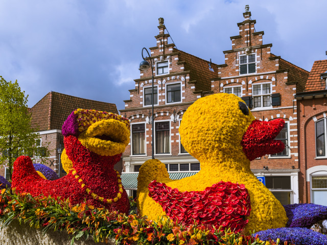 Keukenhof et le Corso Fleuri - photo 20